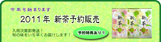 �V���\��̔����n�߂܂���